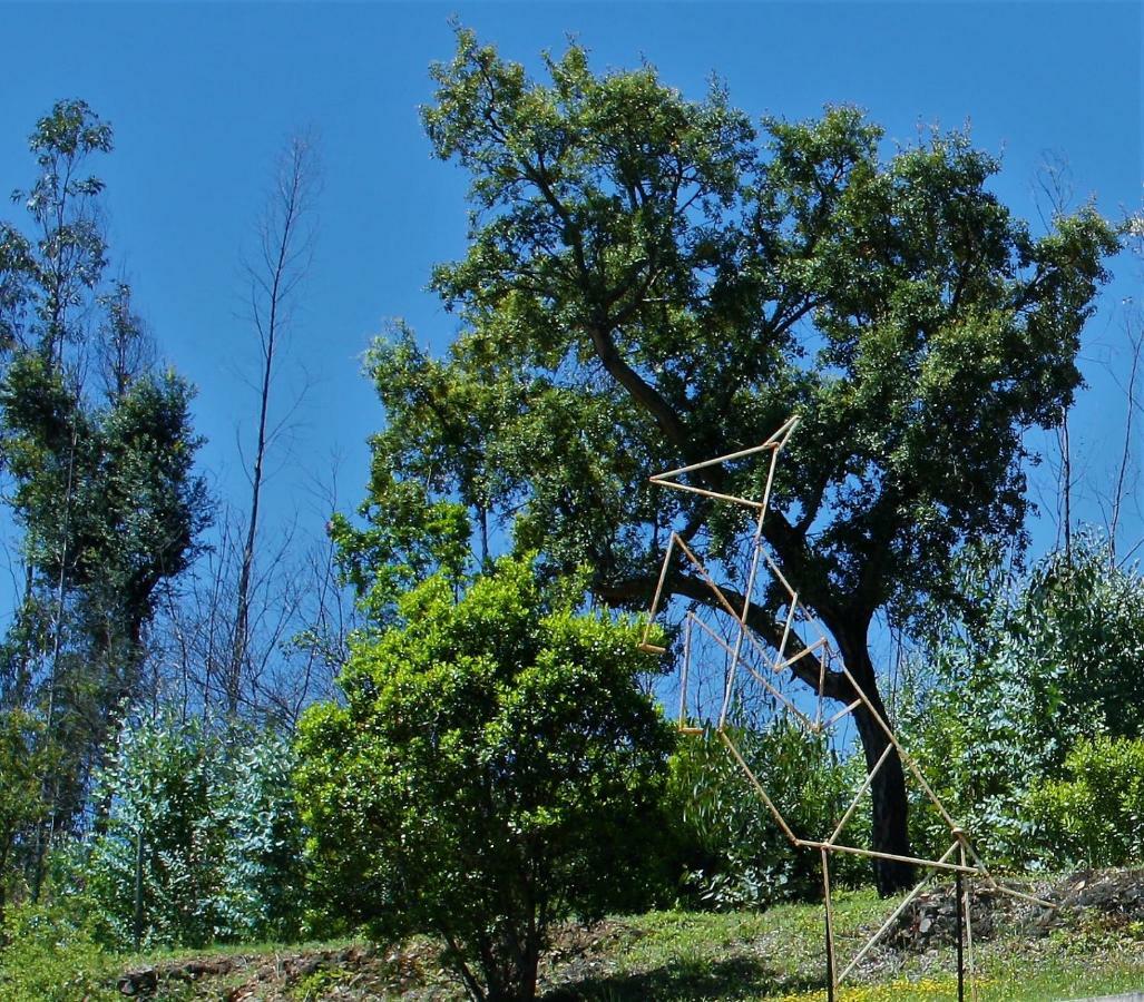 Quinta De S. Luis - Valada Villa Figueiro Dos Vinhos Exterior foto